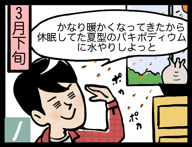 多肉植物への活用術