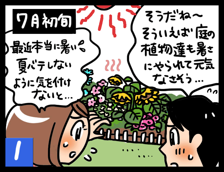 植物の夏バテ予防・回復