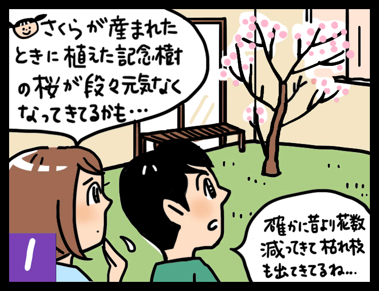 弱った樹木の回復