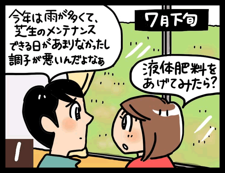 芝生のメンテナンス