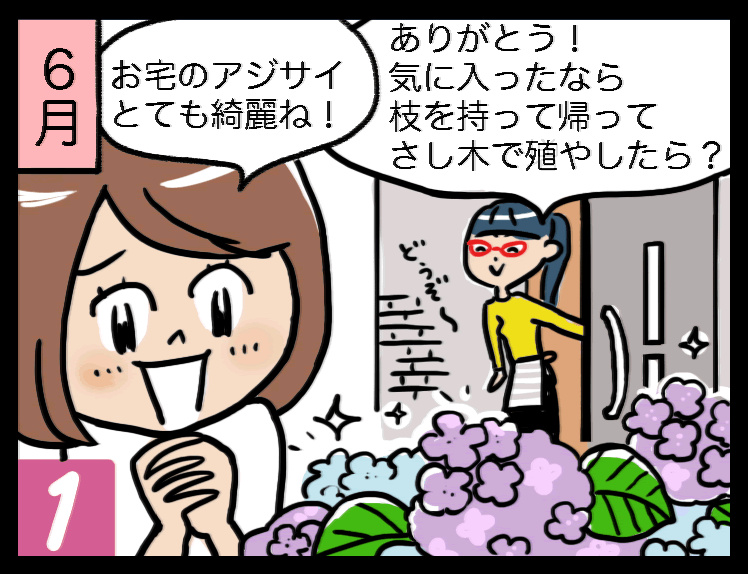 さし木にチャレンジ