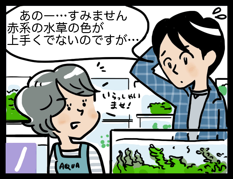 水草の日常管理