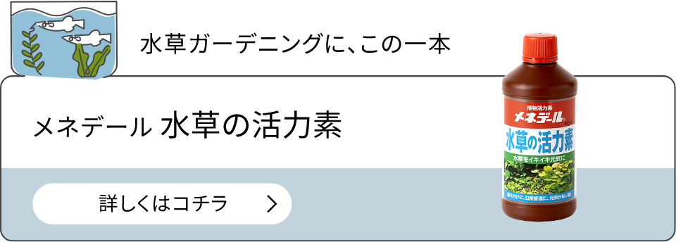 メネデール 水草の活力素