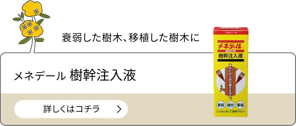 メネデール 樹幹注入液
