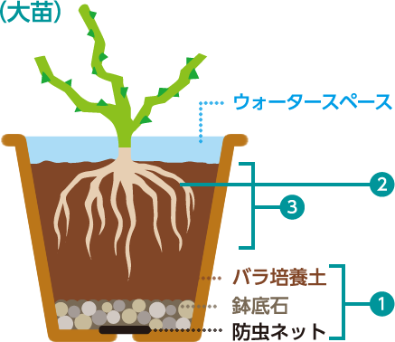 メネデール バラ専用培養土 Abc標準培養土シリーズ 製品紹介 メネデール 花と緑が生みだす 明日への元気