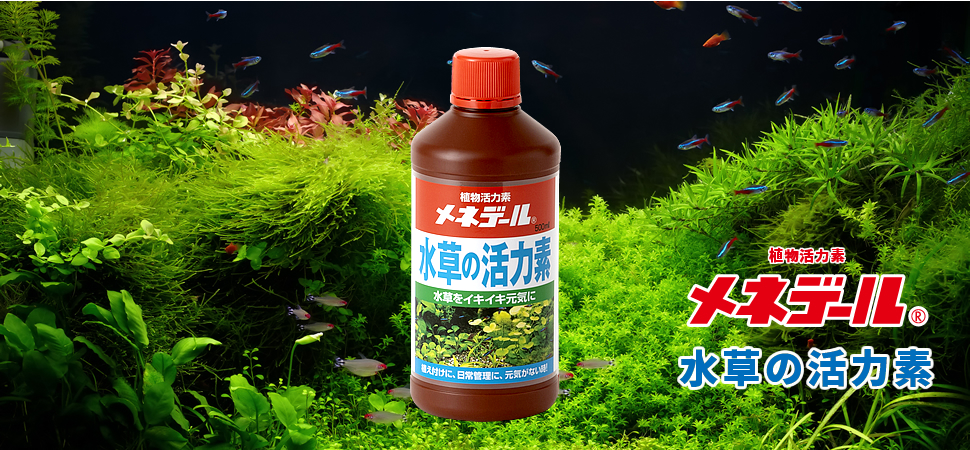 メネデール 2L 植物活力素 活力液 【GINGER掲載商品】