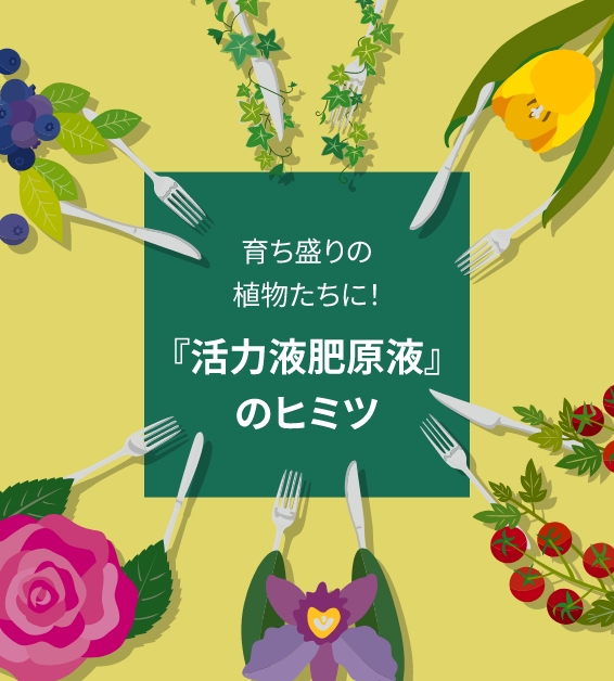 『活力液肥原液』のヒミツ
